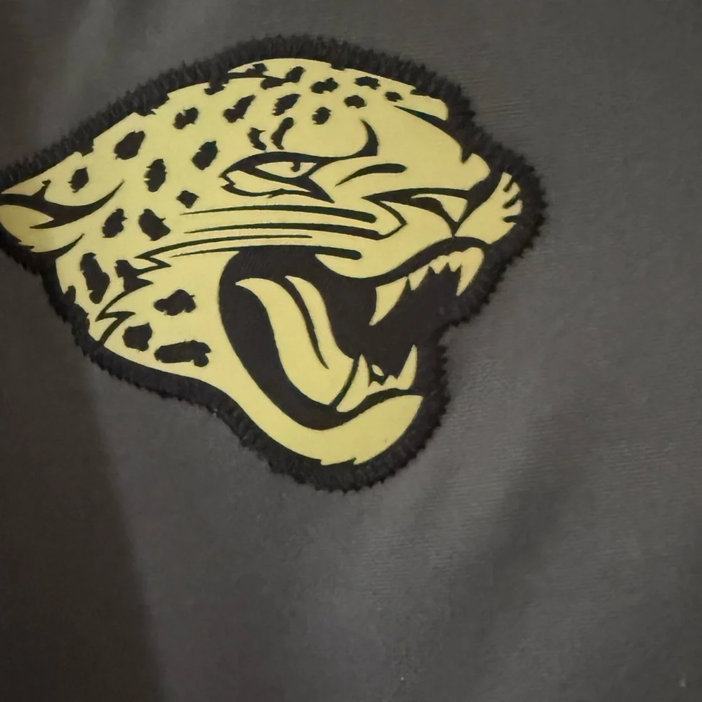 Nike 2016 NFL Carolina Panthers Salute to Service On-Field Hoodie, Size Large.